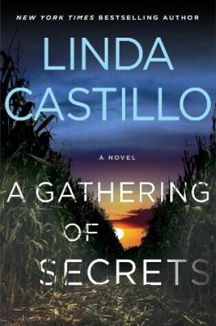 Cover of A Gathering of Secrets