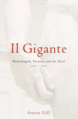 Book cover for Il Gigante