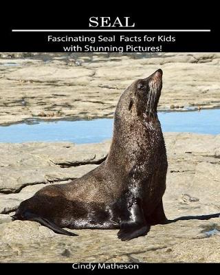 Book cover for Seal