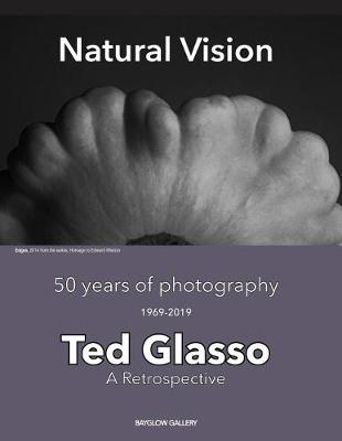 Book cover for Natural Vision