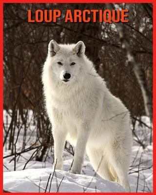 Book cover for Loup Arctique