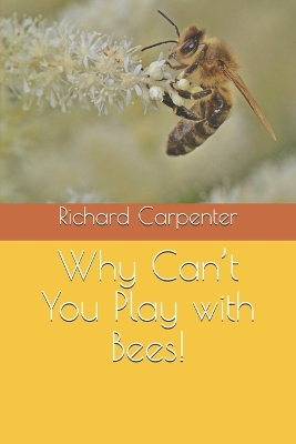 Book cover for Why Can't You Play with Bees!