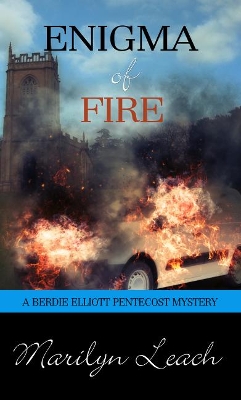 Book cover for Enigma of Fire