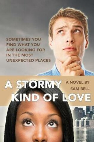 Cover of A Stormy Kind of Love