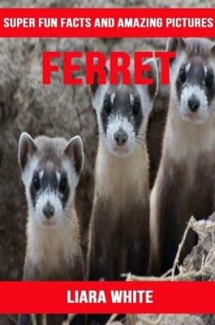 Cover of Ferret