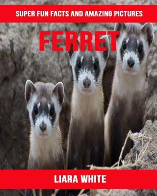 Book cover for Ferret