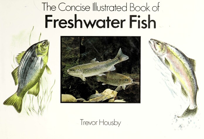 Book cover for Concise Illustrated Freshwater Fish