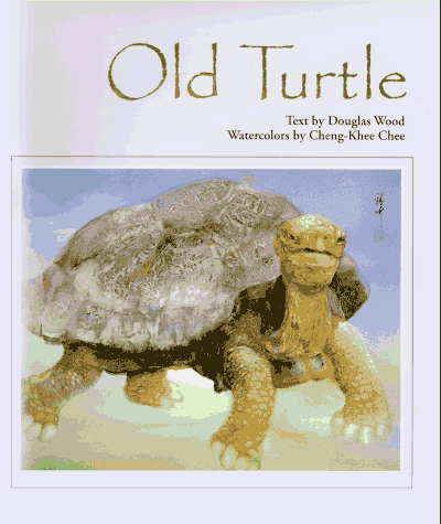 Book cover for Old Turtle