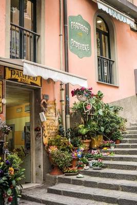 Book cover for Pink Shops by the Stairs in Cinque Terre, Italy