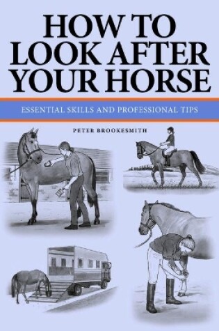 Cover of How To Look After Your Horse