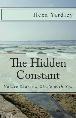 Book cover for The Hidden Constant