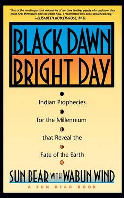 Book cover for Black Dawn, Bright Day