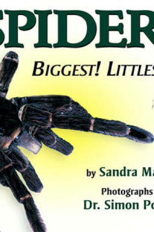 Cover of Spiders