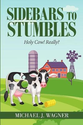 Book cover for Sidebars to Stumbles