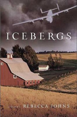 Book cover for Icebergs