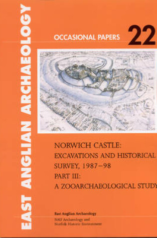 Cover of Norwich Castle