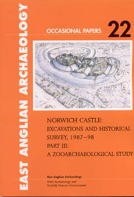 Book cover for Norwich Castle