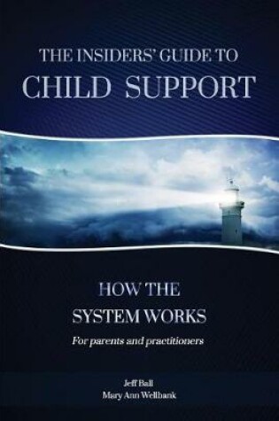 Cover of The Insiders' Guide to Child Support