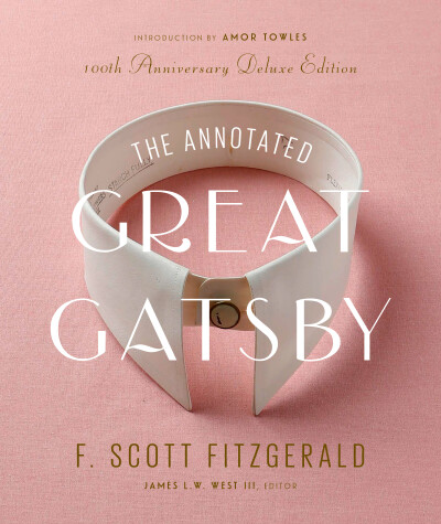 Book cover for The Annotated Great Gatsby