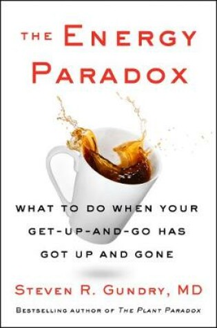 Cover of The Energy Paradox