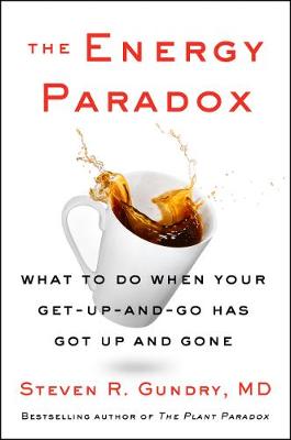 Book cover for The Energy Paradox