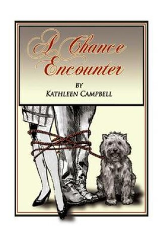 Cover of A Chance Encounter