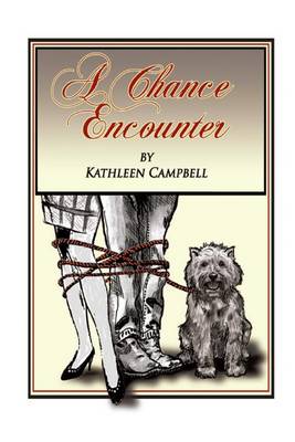 Book cover for A Chance Encounter