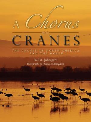 Book cover for A Chorus of Cranes