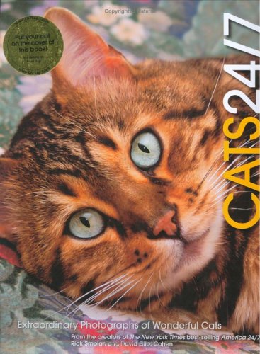 Book cover for Cats 24/7