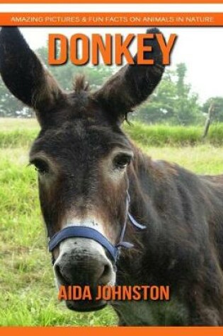 Cover of Donkey