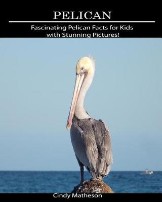 Book cover for Pelican