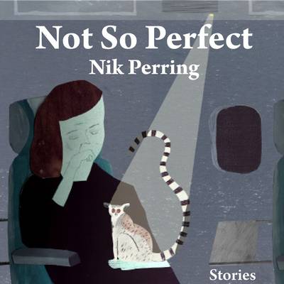 Book cover for Not So Perfect