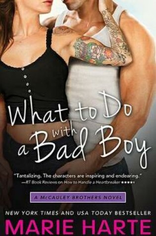 Cover of What to Do with a Bad Boy
