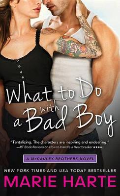 Book cover for What to Do with a Bad Boy