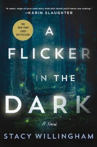 Cover of A Flicker in the Dark