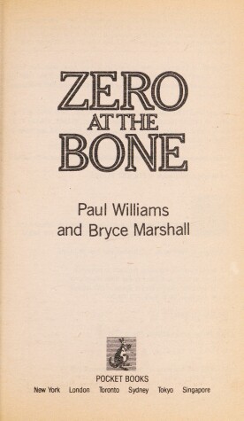 Book cover for Zero at the Bone