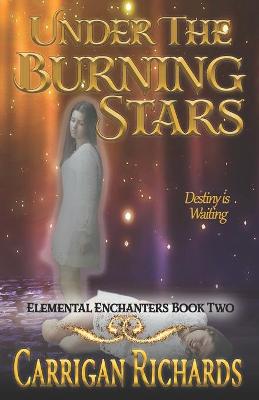 Book cover for Under the Burning Stars