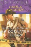 Book cover for Scene of the Crime: Bridgewater, Texas