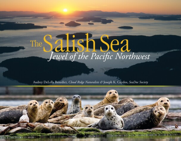 Book cover for The Salish Sea