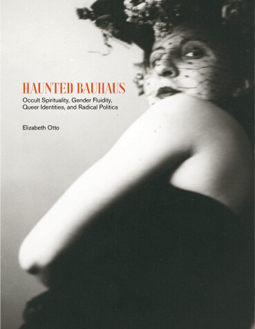 Book cover for Haunted Bauhaus