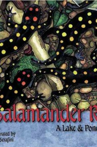 Cover of Salamander Rain