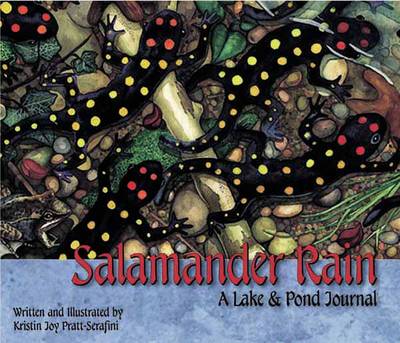 Book cover for Salamander Rain