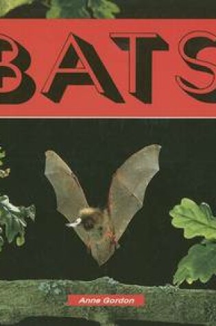 Cover of Bats