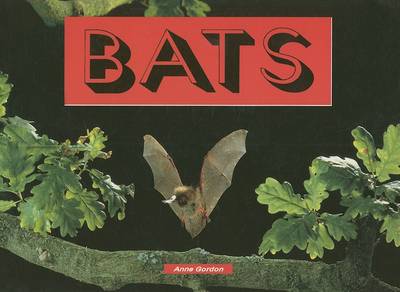 Cover of Bats