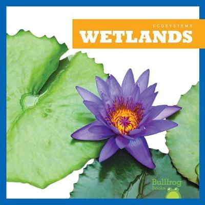 Cover of Wetlands