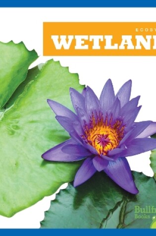 Cover of Wetlands