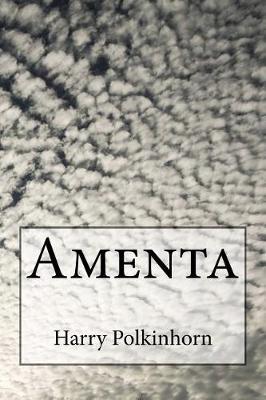 Book cover for Amenta