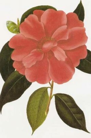 Cover of Camellia Reticula Drawing, for the Love of Flowers