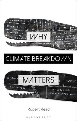 Book cover for Why Climate Breakdown Matters