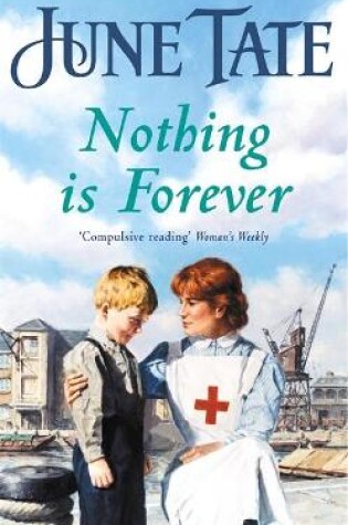 Cover of Nothing Is Forever